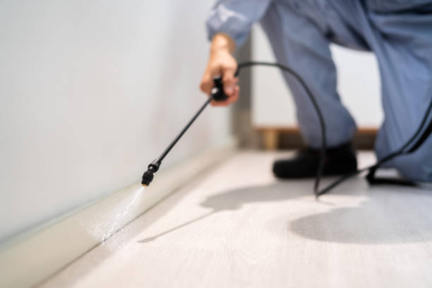 Professional exterminator conducting IPM assessment in Hallstead
